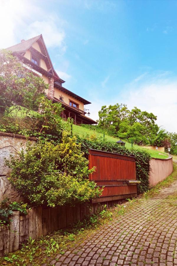 Chez Aude Apartment Andlau-au-Val Exterior foto